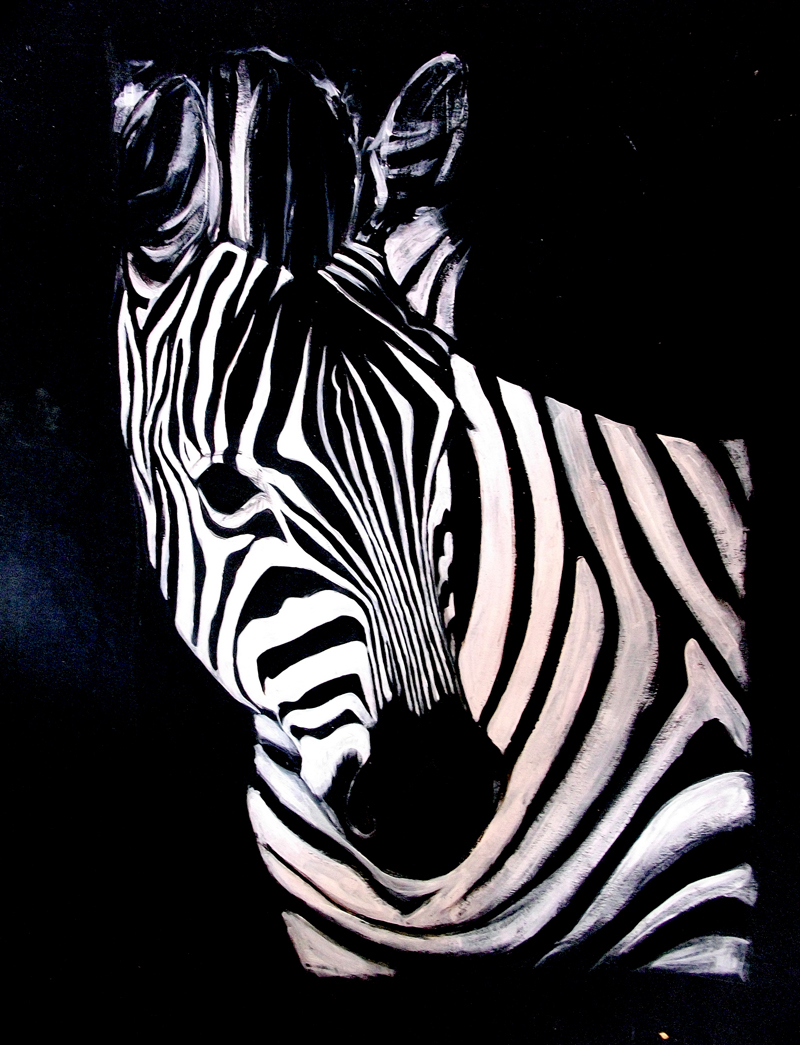 Zebra